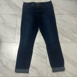 Lucky Brand Lolita Skinny Jeans Size 10/30